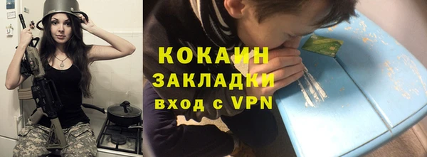 твердый Алзамай