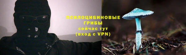 СК Алексеевка