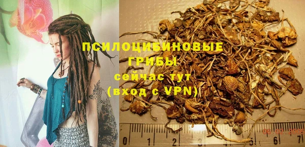 твердый Алзамай