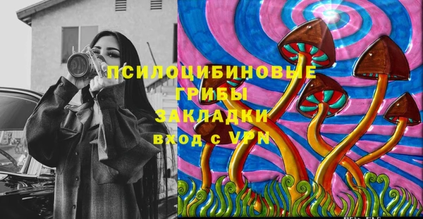 хмурый Абаза