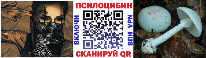 кракен вход  Петушки  Псилоцибиновые грибы Psilocybine cubensis 